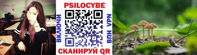 Галлюциногенные грибы GOLDEN TEACHER Черногорск