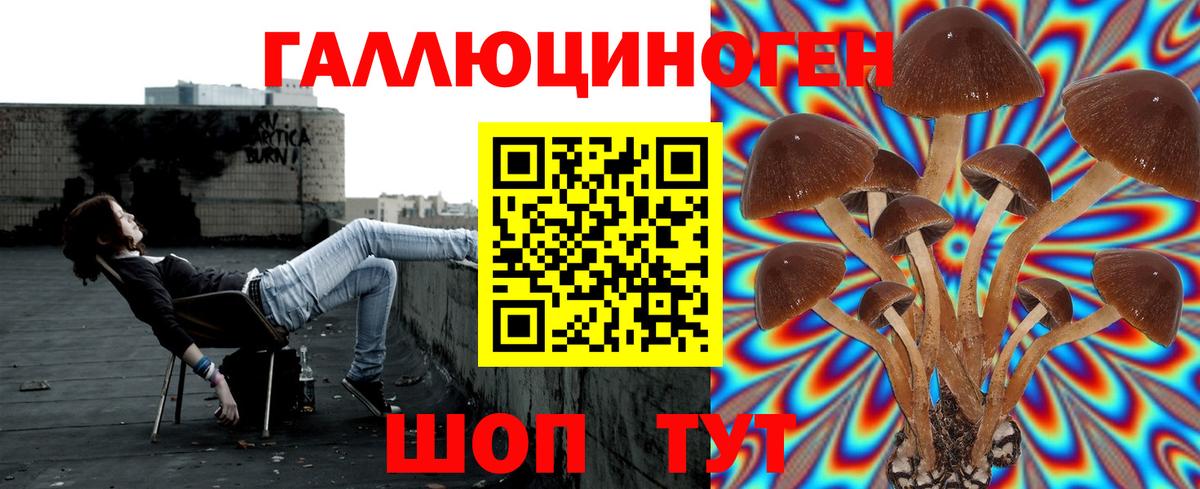 Псилоцибиновые грибы MAGIC MUSHROOMS Черногорск