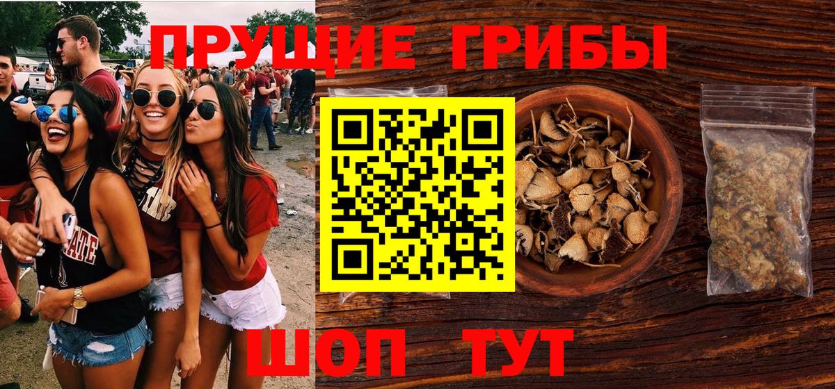 Черногорск  Галлюциногенные грибы мухоморы  Псилоцибиновые грибы мицелий  Вход с VPN 